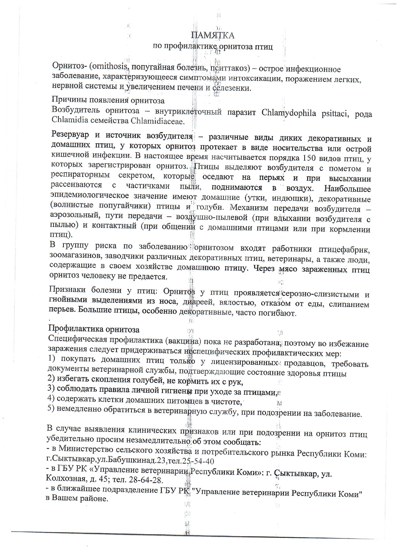 Орнитоз. Памятка по профилактике орнитоза птиц.
