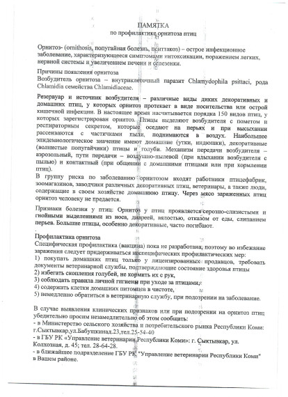 Орнитоз. Памятка по профилактике орнитоза птиц. Орнитоз. Памятка по профилактике орнитоза птиц.